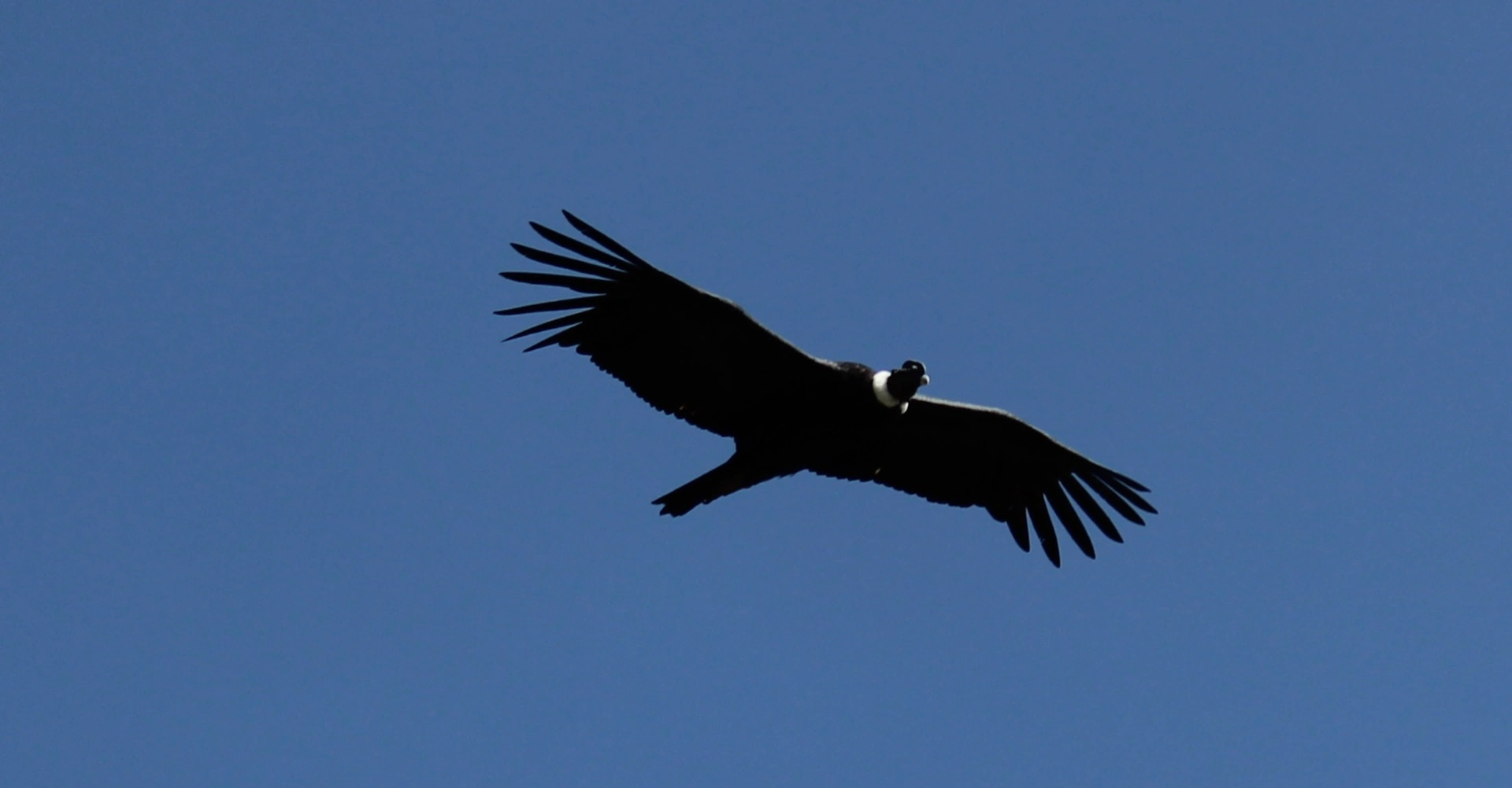 Арекипа и Колка – още от чудесата на Перу